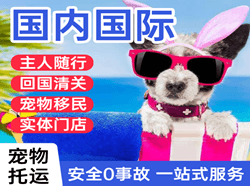 淮安涟水机场空运国际宠物托运 【国